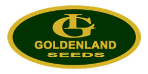 goldenland-300x150